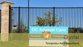  Presentation with animal shelter - Beautiful slide deck featuring tustin-california-25-april-2020 backdrop and a yellow colored foreground