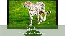  Presentation with monitor computer - Beautiful PPT theme featuring tv programs - tv or computer monitor showing backdrop and a forest green colored foreground