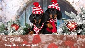  Presentation with dog christmas - Colorful slide deck enhanced with tvo-puppy-dachshund-new-year backdrop and a red colored foreground