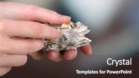  Presentation with pearl oyster - Amazing PPT theme having tweezers holding pearl and oyster backdrop and a tawny brown colored foreground
