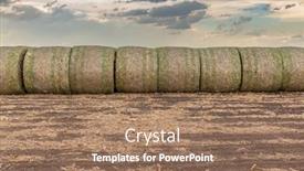  Presentation with animals - Presentation theme consisting of twenty-hay-bales-are-stacked background and a coral colored foreground