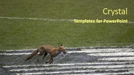  Presentation with win win - Beautiful slides featuring young businesswoman pulling curtain with rope place for text backdrop and a light blue colored foreground