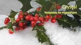 Presentation with holly - Amazing PPT theme having holly lying in the snow backdrop and a tawny brown colored foreground