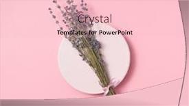  Presentation with pastel pink - PPT theme enhanced with twig-of-natural-lavender background and a lemonade colored foreground