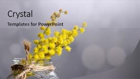  Presentation with flowers vase - PPT layouts enhanced with twigs of mimosa flowers in vase on wooden table background and a lemonade colored foreground