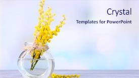  Presentation with flowers vase - Beautiful slide set featuring twigs of mimosa flowers in vase on wooden table backdrop and a sky blue colored foreground