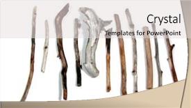  Presentation with white sea urchin - Audience pleasing presentation theme consisting of twigs polished by the sea backdrop and a  colored foreground