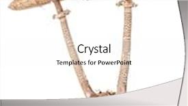  Presentation with fungus - Amazing presentation having twin parasol fungus mushrooms shot on white background backdrop and a white colored foreground