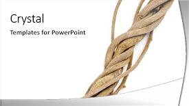  Presentation with tree roots - Theme with twisted roots isolated background and a white colored foreground