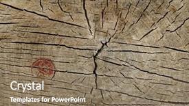  Presentation with crack - Presentation design consisting of twisted tree - abstract crack wood ancient can background and a coral colored foreground