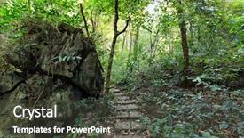  Presentation with planets deep space - Beautiful slide deck featuring twisted tree - deep jungle in cat ba backdrop and a dark gray colored foreground