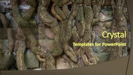  Presentation with castle wall - Audience pleasing slide deck consisting of twisted tree roots and old backdrop and a tawny brown colored foreground