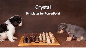  Presentation with puppy - Slides enhanced with two 6 weeks old puppy background and a tawny brown colored foreground