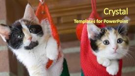  Presentation with kittens christmas holiday red christmas - Audience pleasing presentation theme consisting of two adorable kittens in christmas backdrop and a tawny brown colored foreground