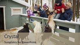  Presentation with fold - Theme with two adults feed goat background and a coral colored foreground