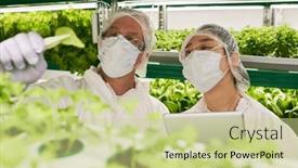  Presentation with green leaf - Slide set with two-agro-engineers-in-protective background and a  colored foreground