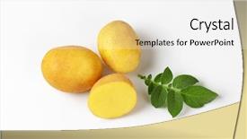  Presentation with chemistry leaves green leaf - Audience pleasing presentation theme consisting of two and half baby potatoes backdrop and a white colored foreground