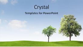  Presentation with apple trees are blooming pink - Audience pleasing PPT theme consisting of two apple trees backdrop and a light blue colored foreground