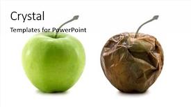  Presentation with white - Colorful theme enhanced with two apples isolated on white backdrop and a white colored foreground