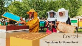  Presentation with investing - Presentation theme having two-arab-investors-checking background and a  colored foreground