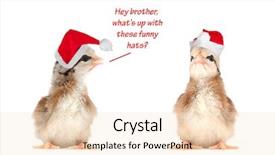  Presentation with baby christmas - Slide set enhanced with two baby chicks wearing santa background and a lemonade colored foreground