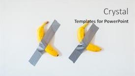  Presentation with green bananas hanging on banana - Beautiful theme featuring two-bananas-close-up-taped backdrop and a white colored foreground