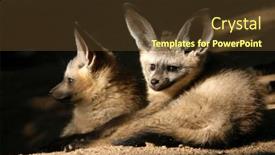  Presentation with fox - 