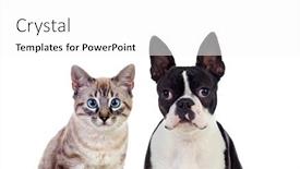  Presentation with pets - Beautiful slide deck featuring two-beautiful-pets-isolated backdrop and a white colored foreground