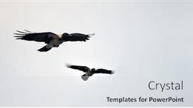  Presentation with gray - Colorful presentation design enhanced with two-big-black-and-gray backdrop and a light gray colored foreground