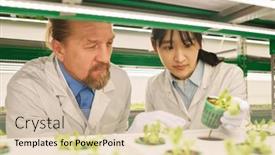  Presentation with lab coats - PPT theme enhanced with two-biotechnologists-in-lab-coats background and a  colored foreground