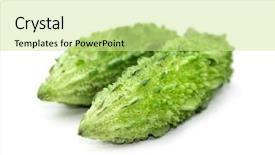  Presentation with bitter - Audience pleasing PPT layouts consisting of two bitter melons isolated backdrop and a soft green colored foreground