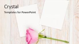  Presentation with pink rose - Colorful presentation theme enhanced with two blank photo frames backdrop and a sky blue colored foreground