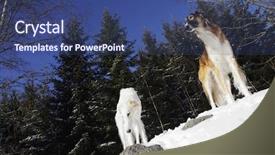  Presentation with dogs - PPT layouts having two-borzoi-dogs-sight-hounds background and a ocean colored foreground