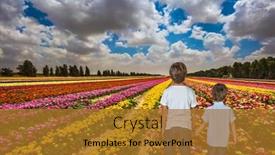  Presentation with bloom - Slide deck with two boys hold hands and look at the field of blossoming garden buttercups israel the spring bloom in a kibbutz background and a gold colored foreground