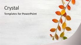  Presentation with leaves flat lay - Slide deck with two branches with colorful autumn background and a white colored foreground