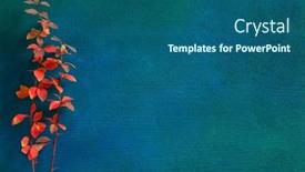  Presentation with dark blue green - Slide set with two-branches-with-small-colorful background and a ocean colored foreground