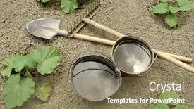  Presentation with vegetable gardening - PPT theme consisting of two buckets with water and gardening tools on the vegetable bed background and a coral colored foreground