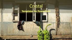  Presentation with wall paint - Presentation enhanced with two-bunches-of-green-bananas background and a tawny brown colored foreground