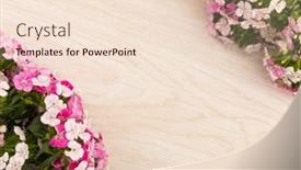  Presentation with romance pink - Presentation design featuring two-bunches-of-pink-flowers background and a lemonade colored foreground