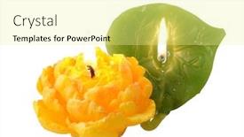  Presentation with flower candles - Beautiful slides featuring two candles yellow flower and green leaf backdrop and a blonde colored foreground