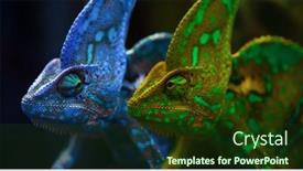  Presentation with color - Slides having two-chameleons-in-different-color background and a tawny brown colored foreground