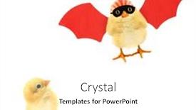  Presentation with crazy - PPT layouts with two-chicks-one-looking background and a white colored foreground