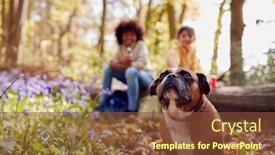  Presentation with pet - Slide set consisting of two-children-walking-pet-dog background and a tawny brown colored foreground