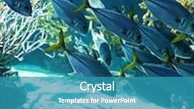  Presentation with fish aquarium - Slides having deep see - two children watch fish background and a teal colored foreground