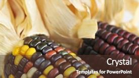  Presentation with corn cobs - Cool new presentation theme with two cobs of indian corn close up backdrop and a tawny brown colored foreground