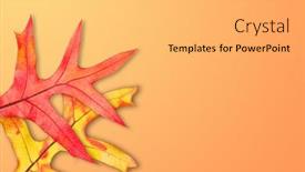  Presentation with yellow orange - PPT layouts with two-colorful-red-yellow background and a light gray colored foreground