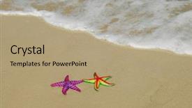 Presentation with colorful - Colorful presentation theme enhanced with two colorful seastars sitting backdrop and a coral colored foreground