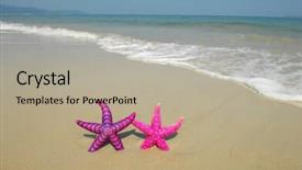 Presentation with colorful - Presentation theme having two colorful seastars sitting background and a mint green colored foreground