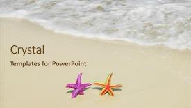  Presentation with starfish - Presentation theme featuring two colorful starfish sitting background and a soft green colored foreground