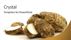  Presentation with colocasia - Presentation enhanced with two cut fresh taro root colocasia on a white background background and a white colored foreground